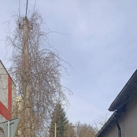 1665486035.jpg