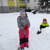 1487143990img-0827.jpg