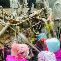 IMG_0514.jpg