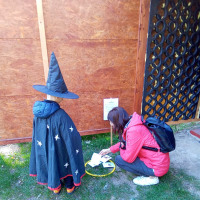 1709625260.jpg